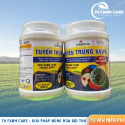 Tuyen-Trung-KAWA-FOSTER-15GR-chua-Fosthiazate-15-dac-tri-tuyen-trung-nut-re-vang-la-thoi-re-ca-phe-chet-cham-ho-tieu.-Rai-goc-hoac-pha-tuoi-hieu-qua