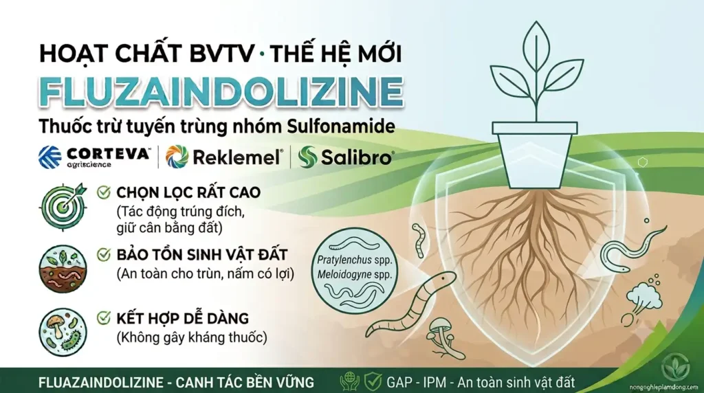 Ảnh bìa bài viết về hoạt chất Fluazaindolizine thuốc trừ tuyến trùng nhóm Sulfonamide thế hệ mới chọn lọc cao an toàn cho sinh vật đất và nấm đối kháng Trichoderma