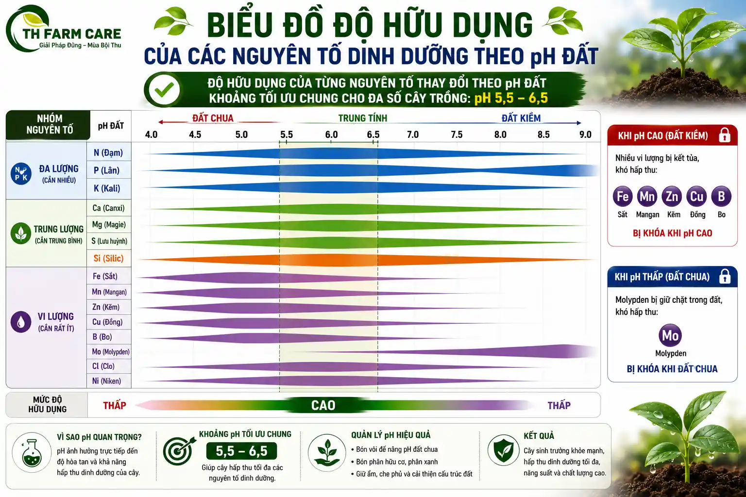 Biểu đồ độ hữu dụng của các nguyên tố dinh dưỡng theo pH đất cho thấy vi lượng Fe Mn Zn Cu B bị khóa khi pH cao còn Molypden bị khóa khi đất chua