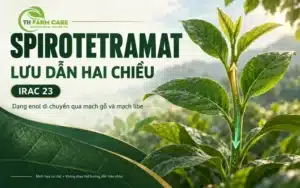 Hoạt chất Spirotetramat IRAC 23 và cơ chế lưu dẫn hai chiều trong cây