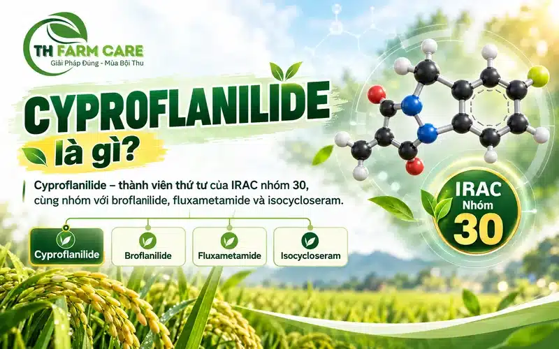 Hoạt chất Cyproflanilide – thành viên thứ tư của IRAC nhóm 30, cùng nhóm với broflanilide, fluxametamide và isocycloseram.
