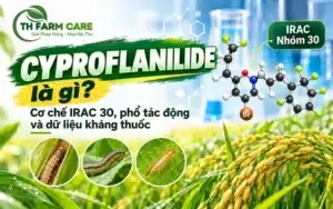 Cyproflanilide là gì? Hoạt chất meta-diamide IRAC 30 thế hệ mới trị sâu kháng chlorantraniliprole