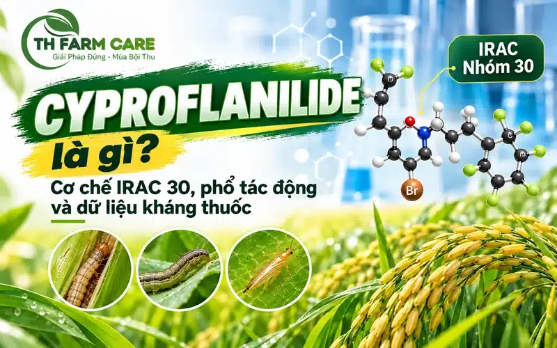 Cyproflanilide là gì? Hoạt chất meta-diamide IRAC 30 thế hệ mới trị sâu kháng chlorantraniliprole